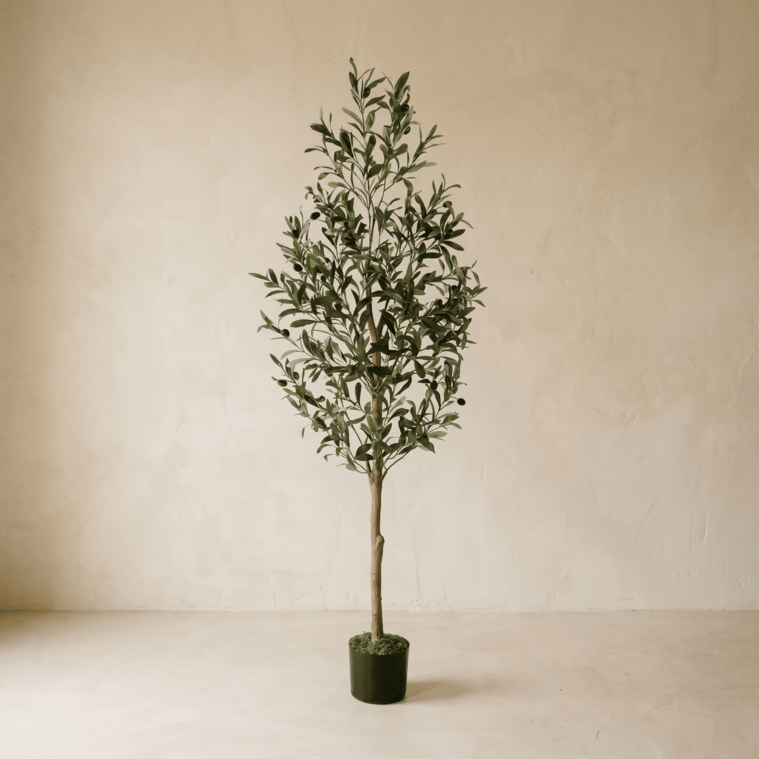 Olivier Artificiel 150 cm avec Tronc Effet Bois