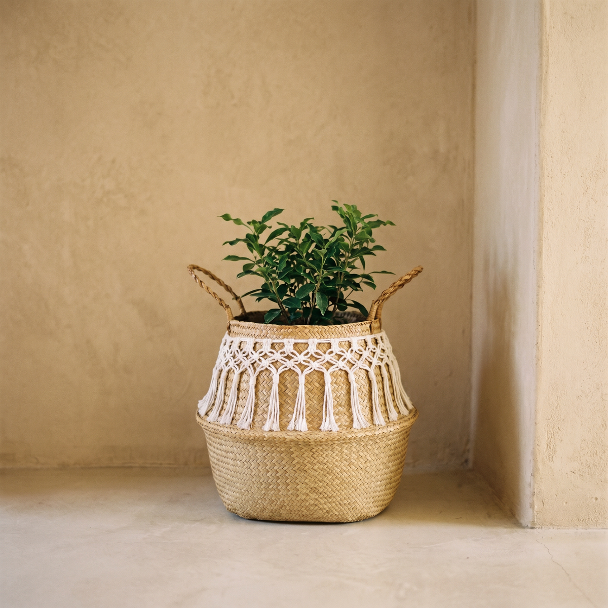 Panier Ventru en Paille à Bandeau Macramé