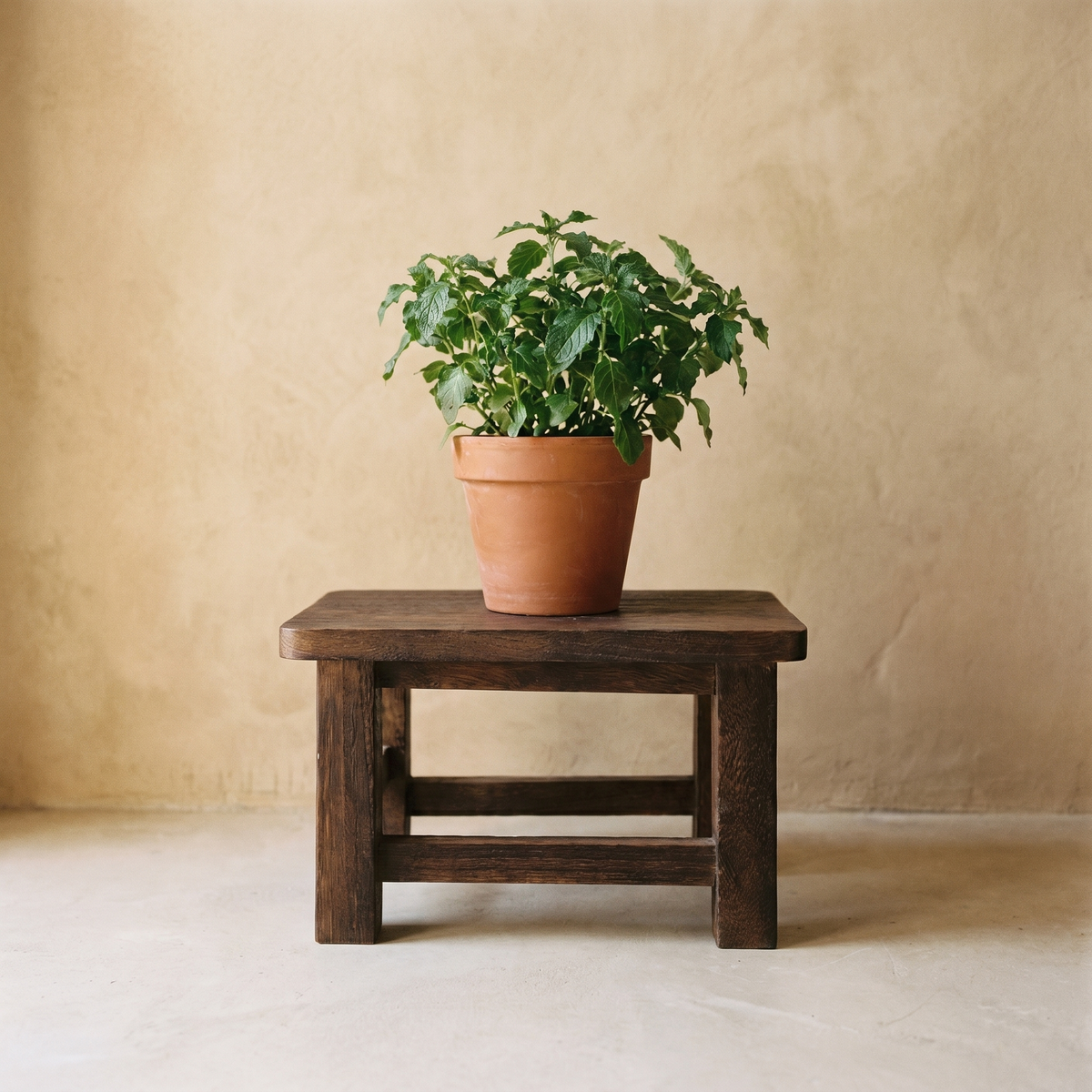 Tabouret Marchepied en Bois Massif